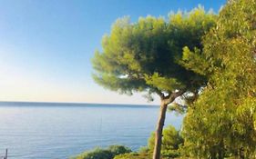 Villa Cannes Directly On The Sea
