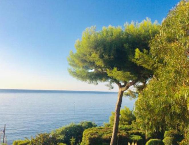 Villa Cannes Directly On The Sea Extérieur photo